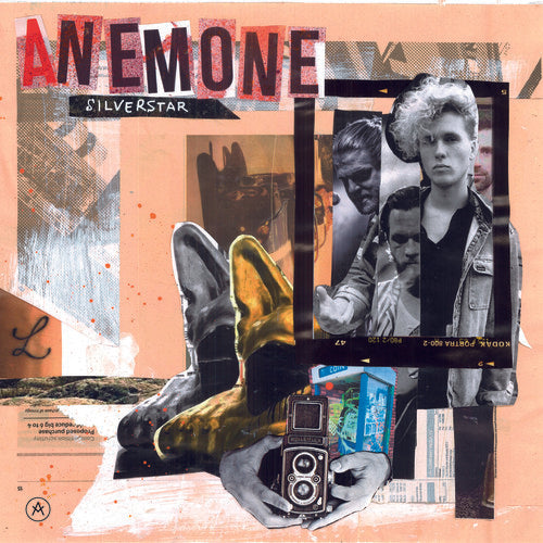 Anemone - Silver Star