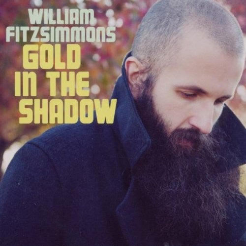 William Fitzsimmons - Gold In The Shadow