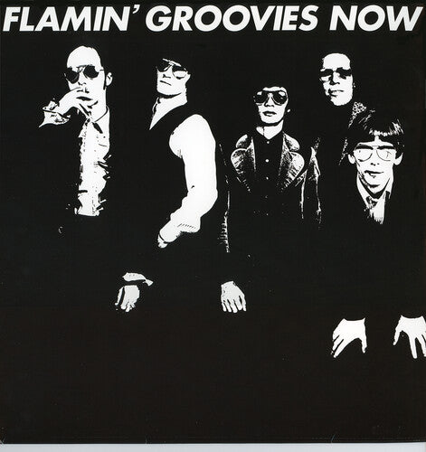 Flamin' Groovies - Now