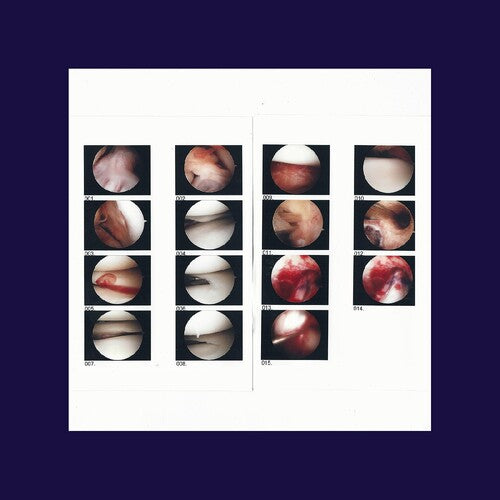 Cradle - Laughing In My Sleep