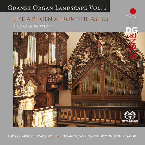 Gdansk Organ Landscape 1/ Various - Gdansk Organ Landscape 1