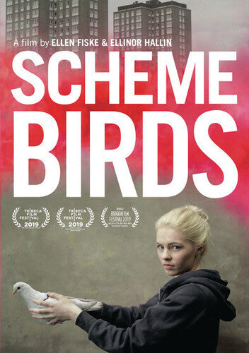 Scheme Birds