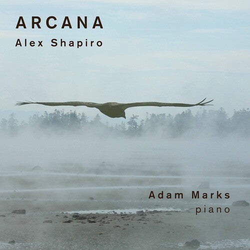 Shapiro/ Marks - Arcana