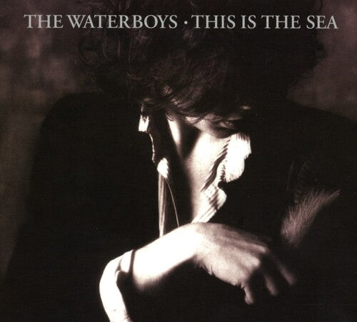 Waterboys - This Is The Sea: Collectors Edition