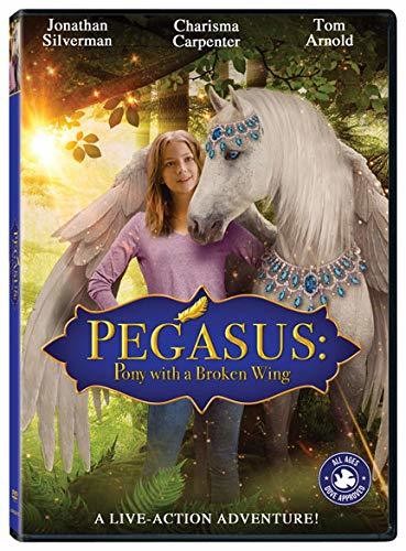 Pegasus: Pony With A Broken Wing