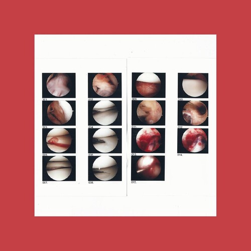Cradle - Laughing In My Sleep (co