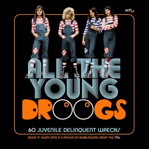 All the Young Droogs: 60 Juvenile Delinquent/ Var - All The Young Droogs: 60 Juvenile Delinquent Wrecks / Various