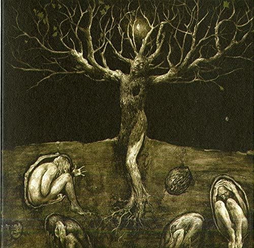 All Traps on Earth - Drop Of Light