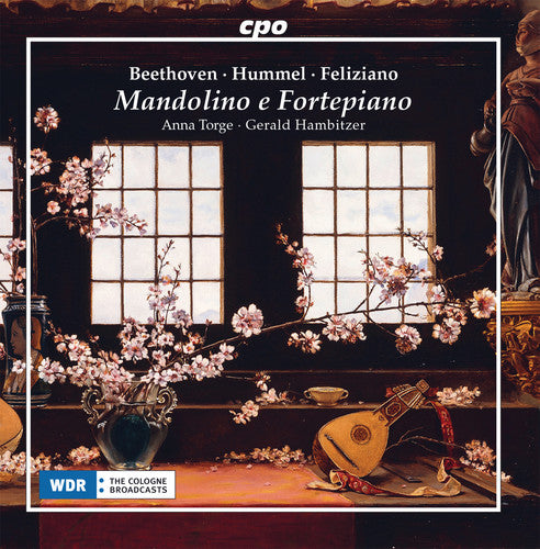 Beethoven/ Torge/ Hambitzer - Mandolino E Fortepiano