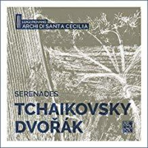 Dvorak/ Piovano - Serenades