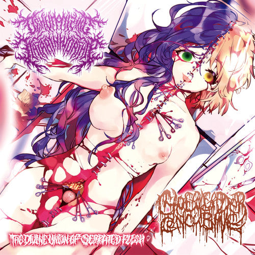 Dehumanizing Itatrain Worship - Divine Union Of Serrated Flesh