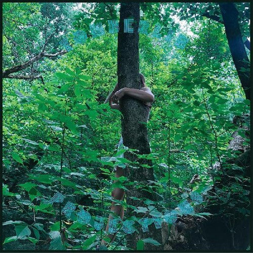 Tomberlin - Projections
