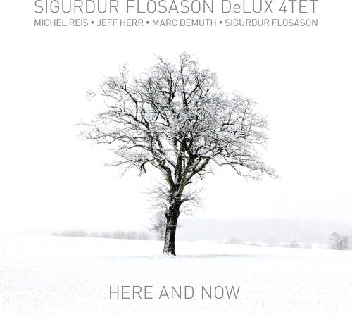 Sigurdur Flosason - Here & Now