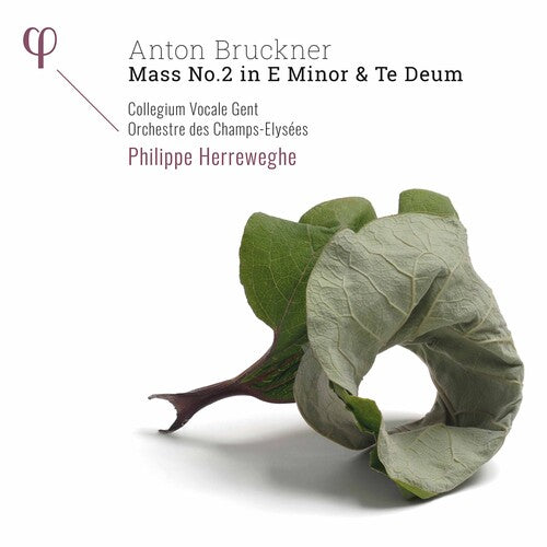 Collegium Vocale Gent  Orchestre Des Champs-Elysees  Herreweghe - Mass 2 in E Minor