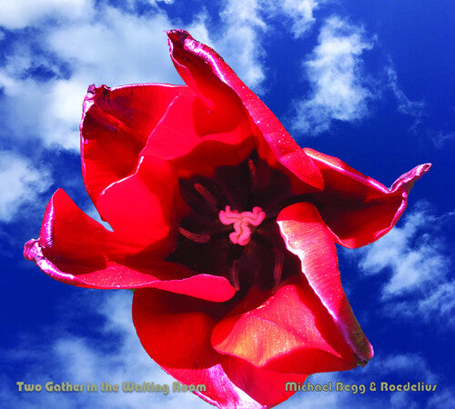 Hans-Joachim Roedelius / Michael Begg - Two Gather In The Waiting Room