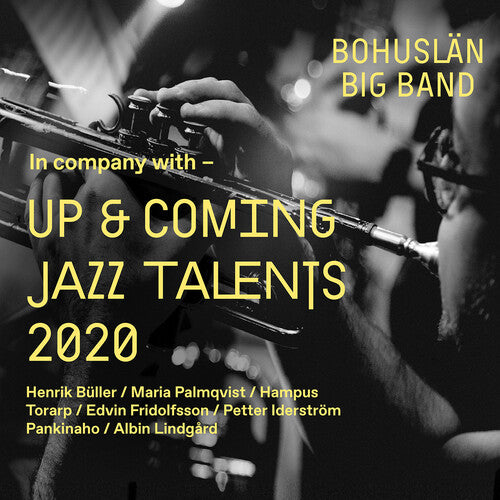 Various Artists - Up & Coming Talents 2020