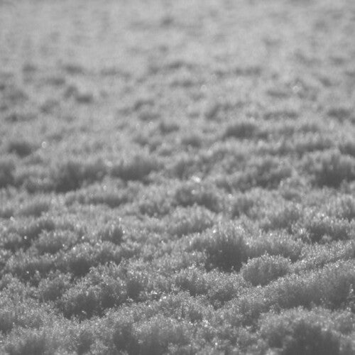 Paysage D'Hiver - Schnee