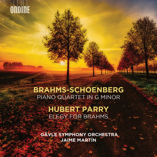 Brahms/ Gavle Symphony Orchestra - Piano Quartet in G Minor / Elegy for Brahms
