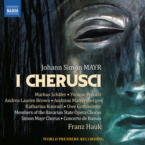 Mayr/ Schafer/ Hauk - I Cherusci