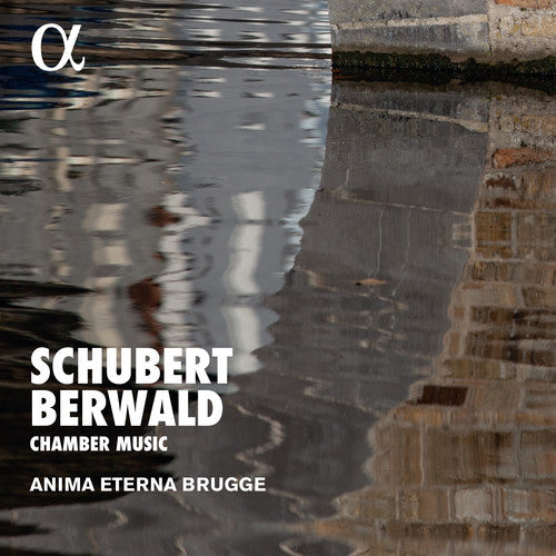 Berwald/ Brugge - Chamber Music