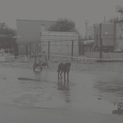 Nivhek - After Its Own Death / Walking In A Spiral Towards The House