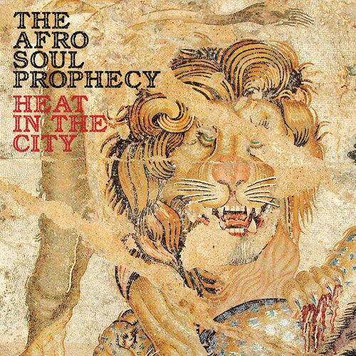 Puddu/ Afro Soul Prophecy - Heat in the City