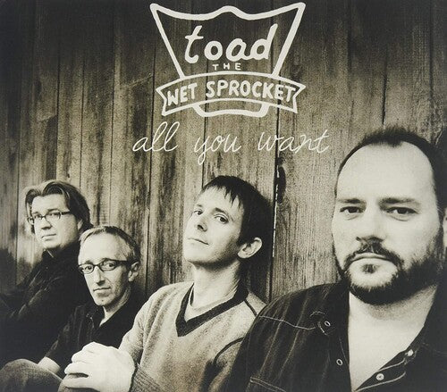 Toad the Wet Sprocket - All You Want - Best Of