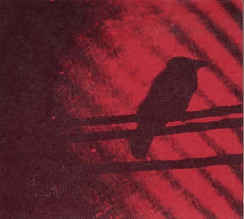 Silver Mt Zion - Born Into Trouble As the Sparks Fly Upward