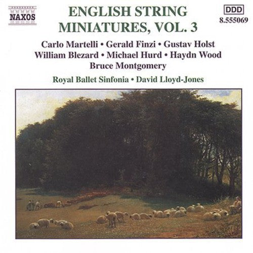 English String Miniatures 3/ Various - English String Miniatures 3 / Various