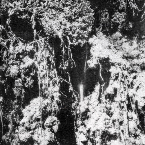 Den Sorte Dod - Den Sorte Dod