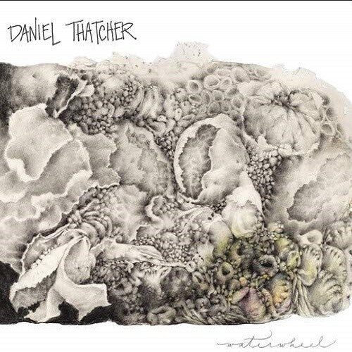 Daniel Thatcher - Waterwheel