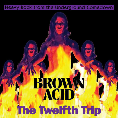 Brown Acid - the Twelfth Trip/ Various - Brown Acid - The Twelfth Trip (Various Artists)