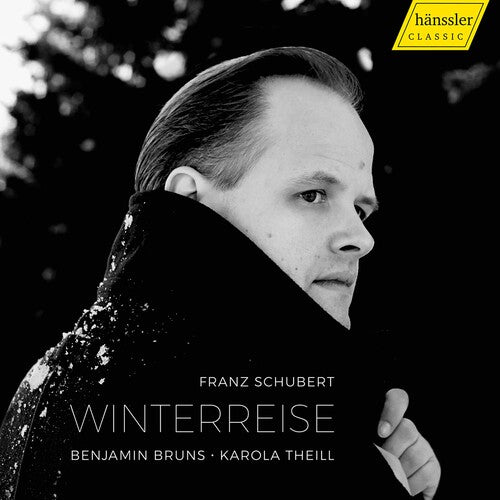 Schubert/ Bruns/ Theill - Winterreise
