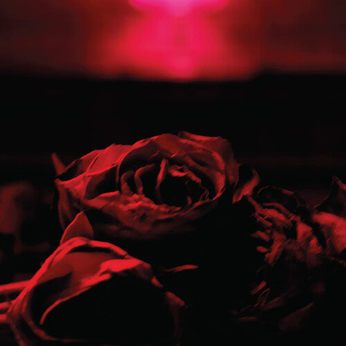 Paper Kites - Roses