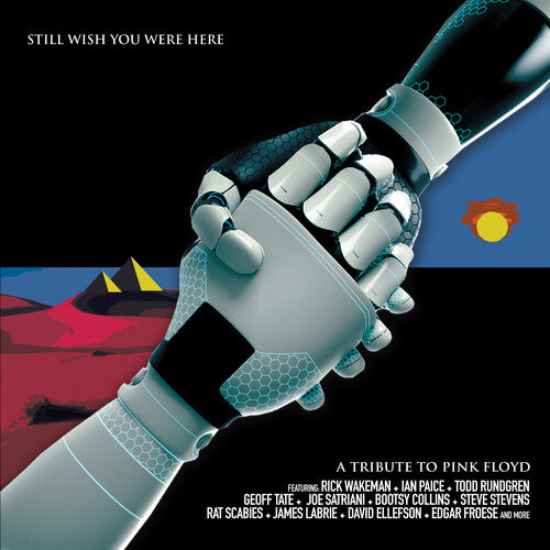Pink Floyd Tribute: Still Wish You Were Here/ Var - Pink Floyd Tribute: Still Wish You Were Here / Various