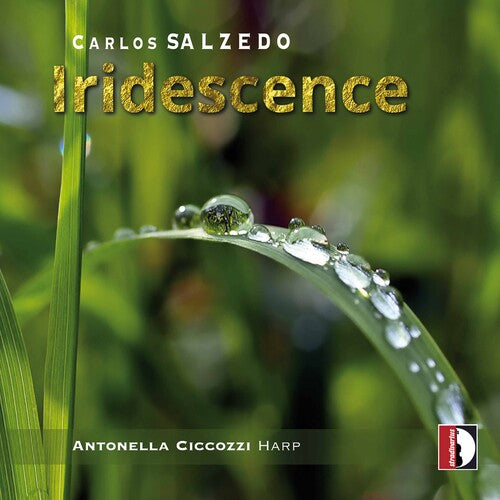 Salzedo/ Antonella Ciccozzi - Iridescence