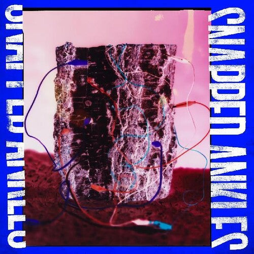 Snapped Ankles - Forest Of Your Problems (The Business Imp Edition)
