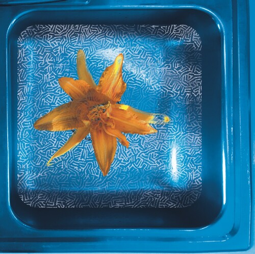 June Star - HOW WE SEE IT NOW