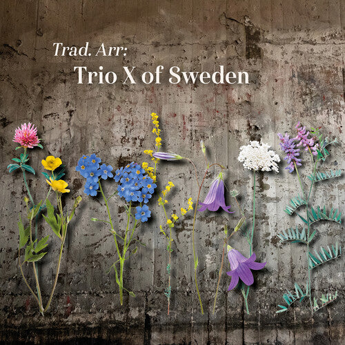 Various Artists - Trad Arr