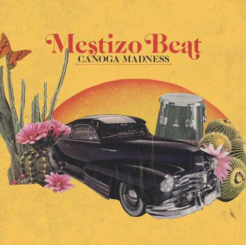 Mestizo Beat - Canoga Madness