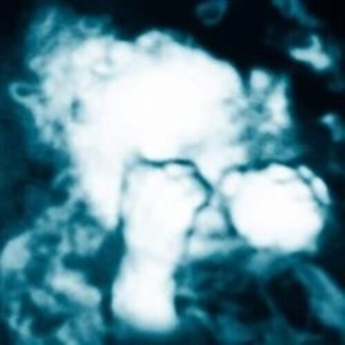 Sandra Monfort - Nino Reptil Angel