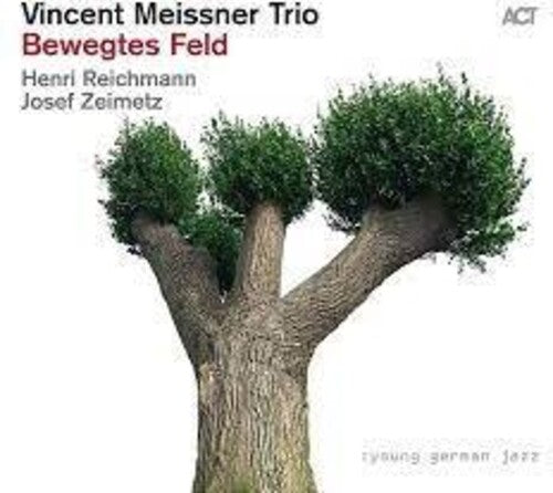 Vincent Meissner Trio - Bewegtes Feld