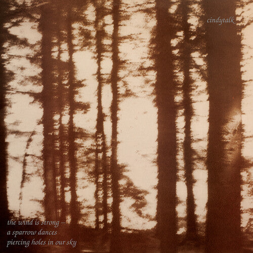 Cindytalk - The Wind Is Strong