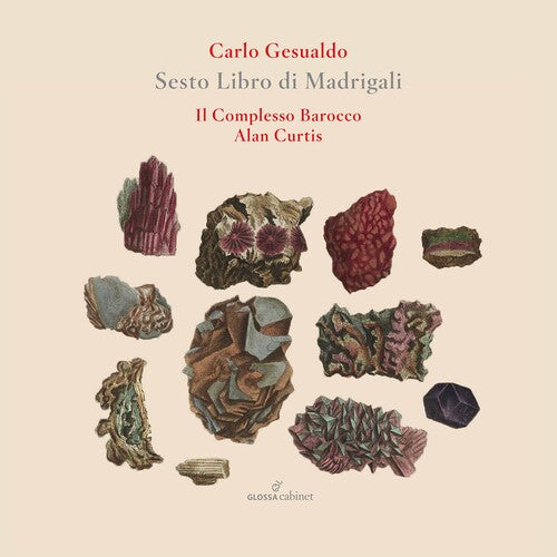 Il Complesso Barocco Curtis - Sesto Libro de Madrigali