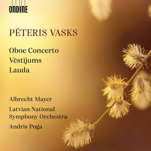 Vasks/ Mayer/ Poga - Orchestral Works