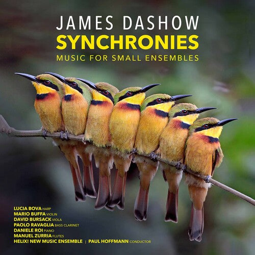 Dashow - Synchronies