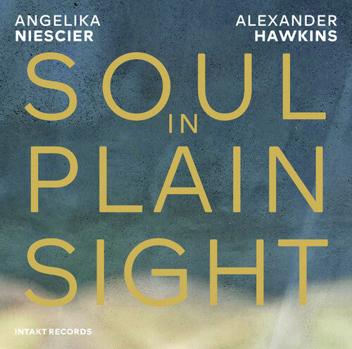 Angelika Niesicer / Alexander Hawkins - Soul In Plain Sight