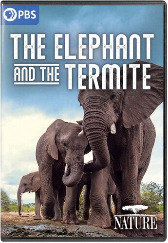 Nature: The Elephant And The Termite