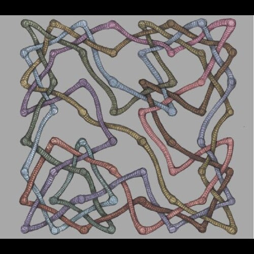 Miles Okazaki / Trevor Dunn / Dan Weiss - Hive Mind