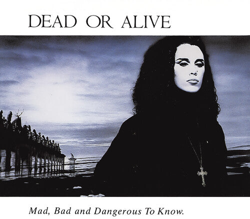Dead or Alive - Mad Bad & Dangerous To Know